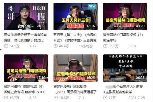 新闻趣事爆料大全视频播放,视频播放中的欢乐瞬间  第1张