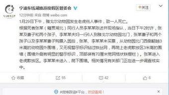 宁波事件爆料视频大全,真相与争议并存