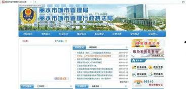 官方的最新爆料网站,揭秘神秘项目，带你领略科技前沿风采  第2张