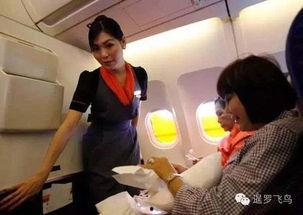 泰国空姐爆料事件视频,揭秘航空业不为人知的秘密  第1张